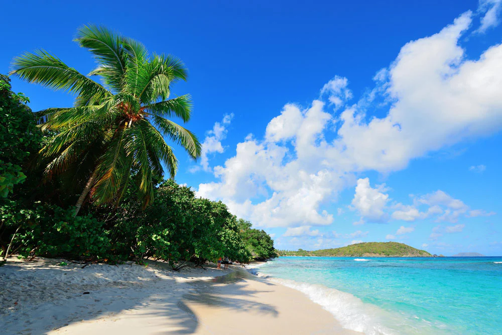 A-pristine-palm-fringed-beach-in-the-Caribbean