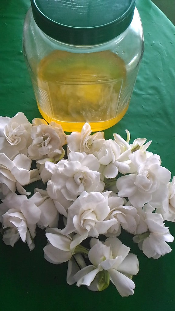 Organic Hawaiian Plumeria Enfleurage Oil from Maui — Hana Nai'a  Aromatherapy Hawaii