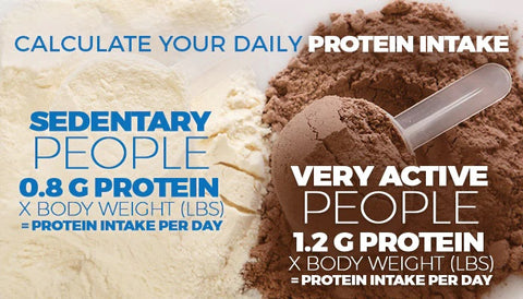 Calculate Your Daily Protein Intake. Sedentary People: 0.8G PROTEIN TIMES BODY WEIGHT IN POUNDS = PROTEIN INTAKE PER DAY. Very Active People: 1.2G PROTEIN TIMES BODY WEIGHT IN POUNDS = PROTEIN INTAKE PER DAY