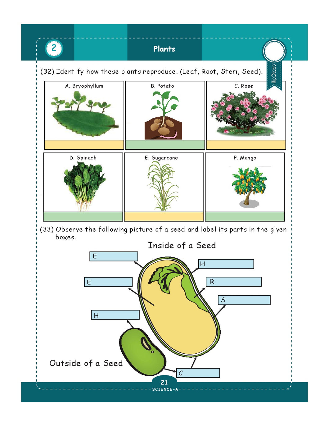 Genius Kids Worksheets for Class 5 (5th Grade) | Math ...