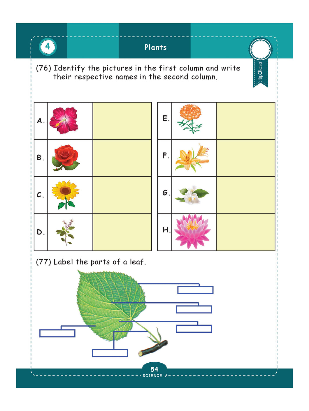 genius kids worksheets for class 4 4th grade math