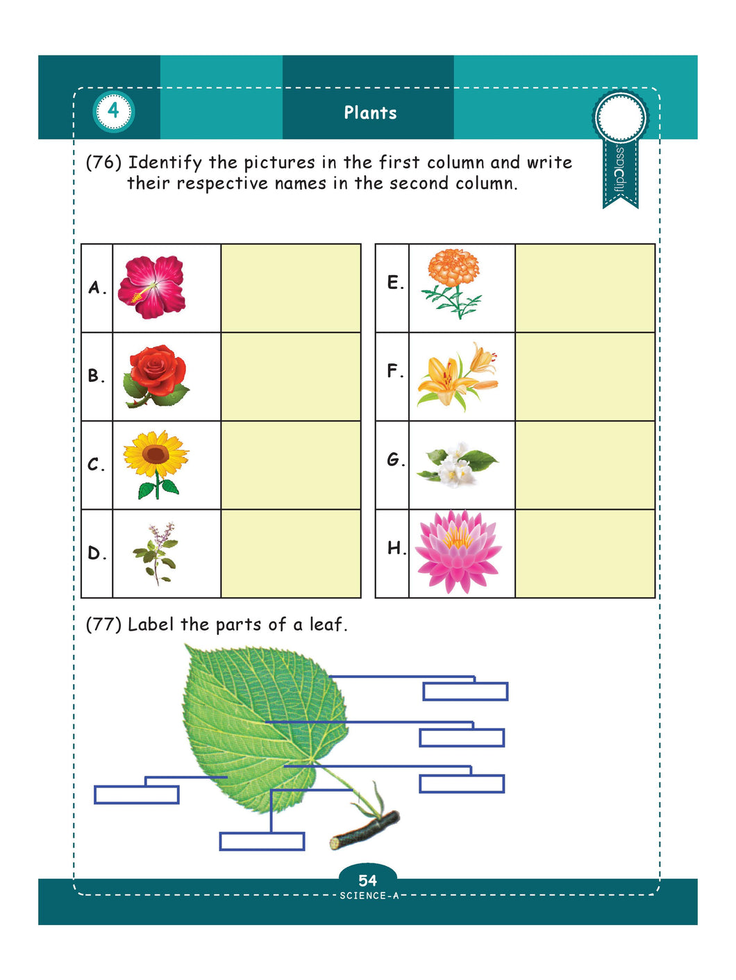 GeniusKids' Worksheets for Class-4/Grade-4 (Set of 6 Workbooks) | Engl