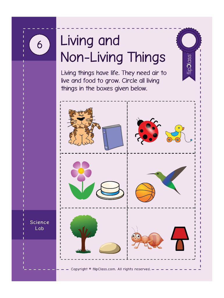 smartkids worksheets for lkgkg1 montessori math