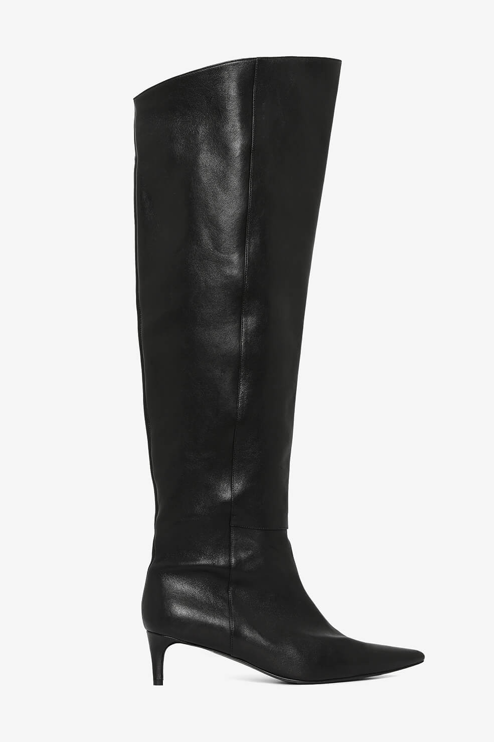 Anine Bing Amelia Boots In Black