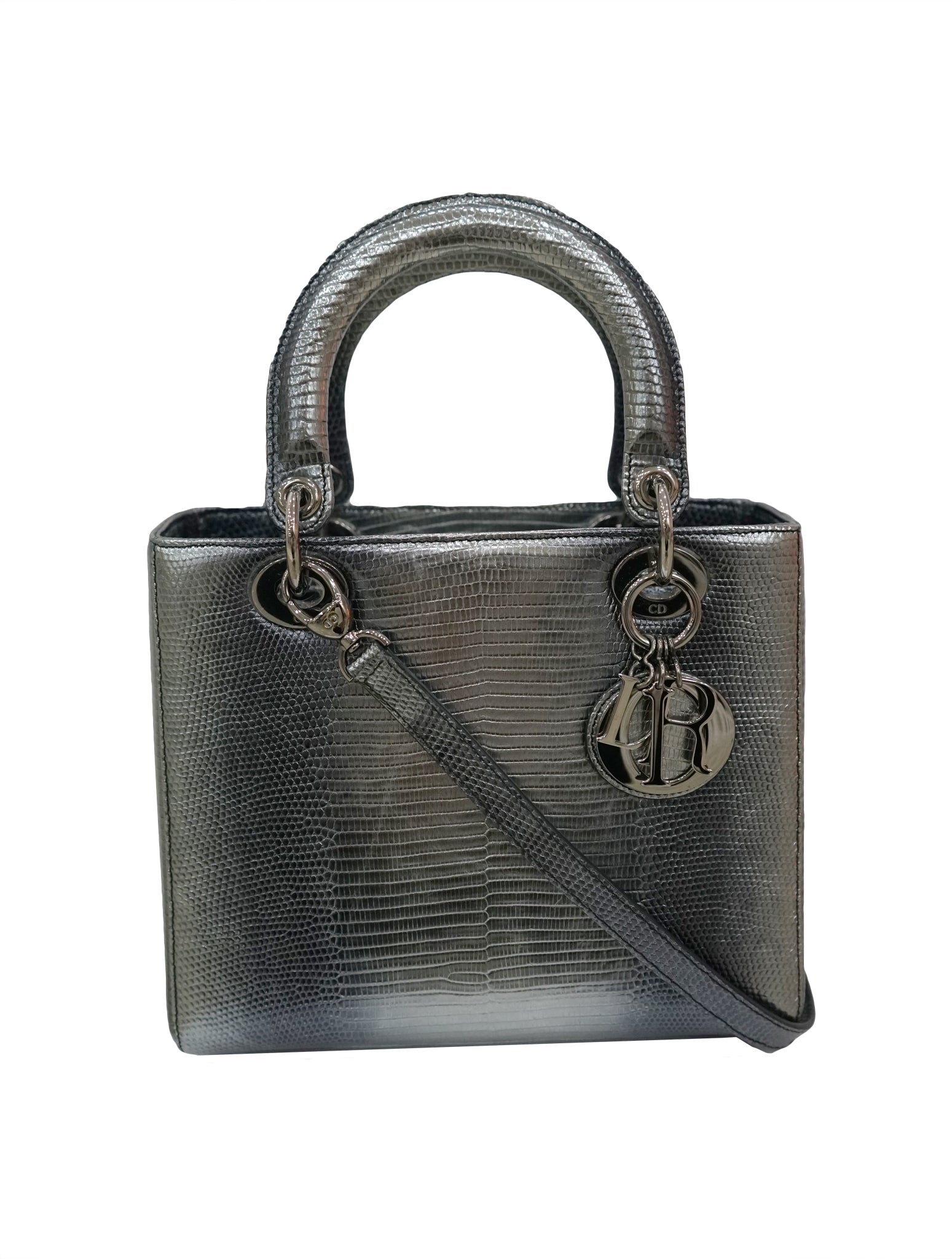 dior lizard bag