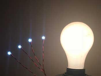 incandescent light bulb