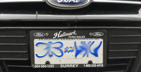 Advertising Auto License Plate Frames