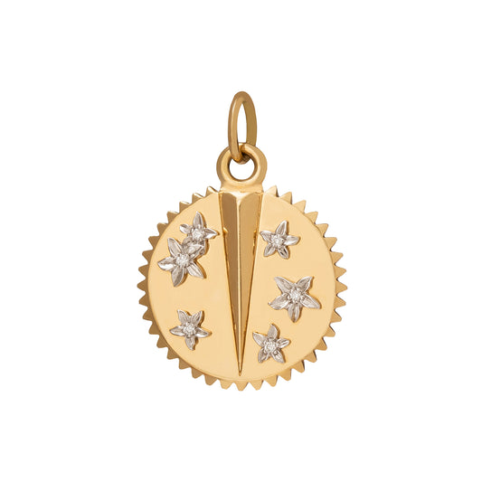 18K Yellow Gold Blossoms Resilience Large Medallion with Diamond – FoundRae