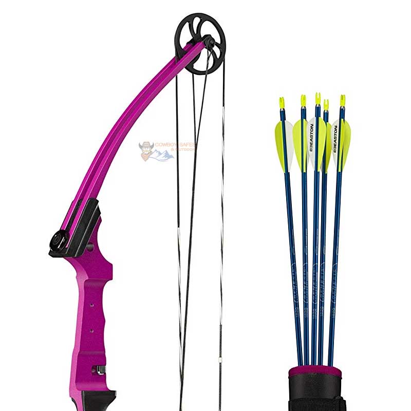 bass pro shop lil brave 2 bow youth bow