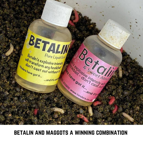 Betalin and Maggots a winning combination