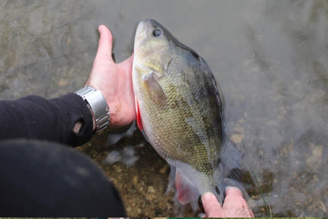 Whelford Pools Perch