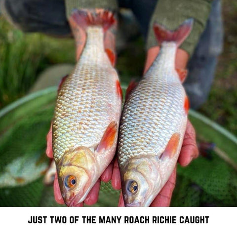 Two stunning Roach from Richie's fishing trip