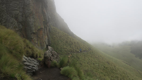 Foggy trail