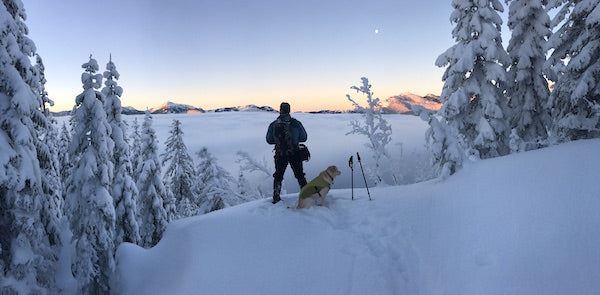 Man overlooking mountain with dog