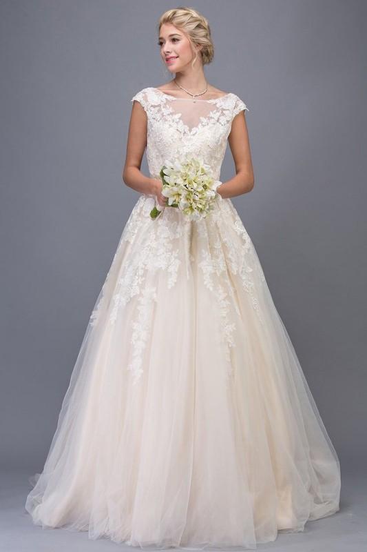 Champagne wedding dress with illusion top EA26 – Simply Fab Dress