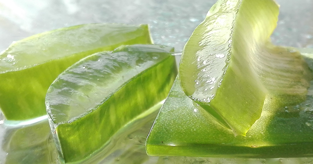 Aloe Vera for Hair Care