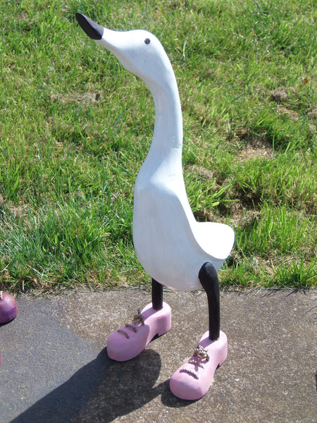 duck with shoes