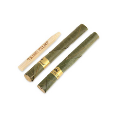 Two King Palm Palm Leaf Pre-Rolled Cones and Bamboo Packing Stick