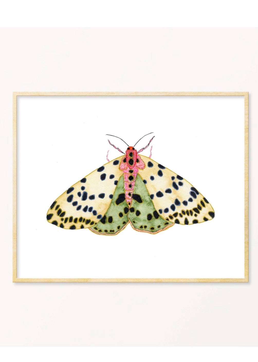 Snoogs & Wilde Art | Moth #7 - The Phoenix