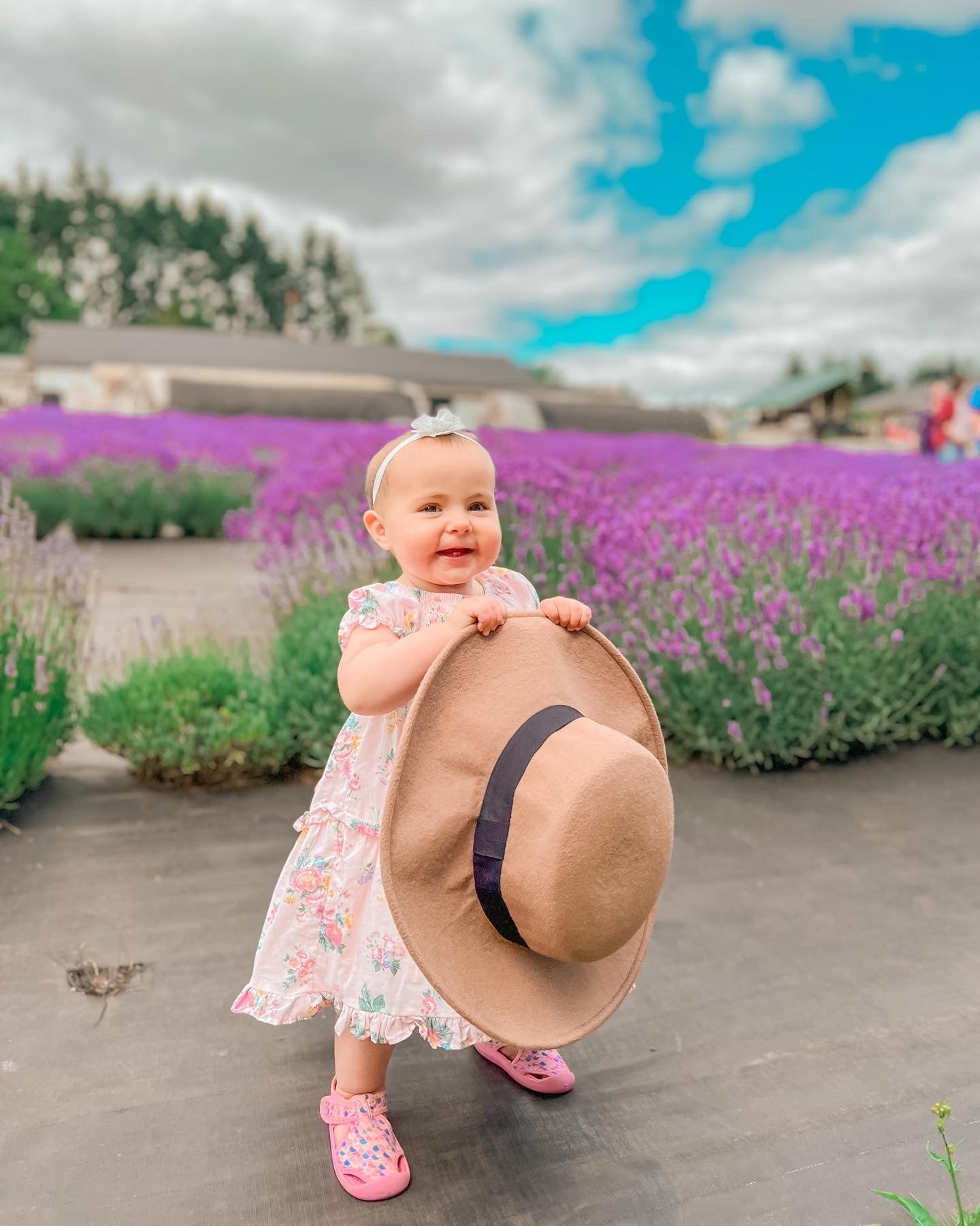 Lavender Field Photoshoot 