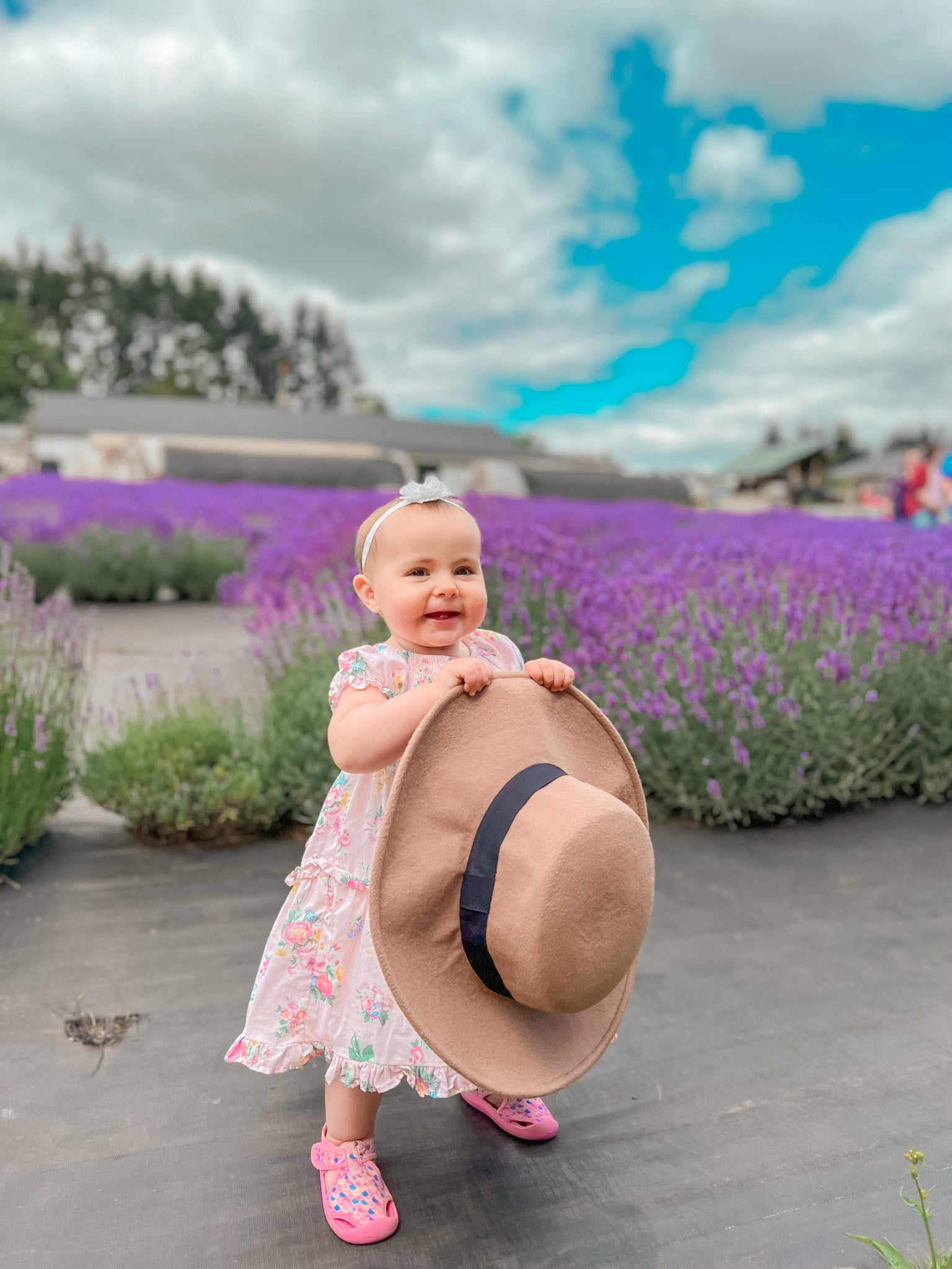 Lavender Field Photoshoot 