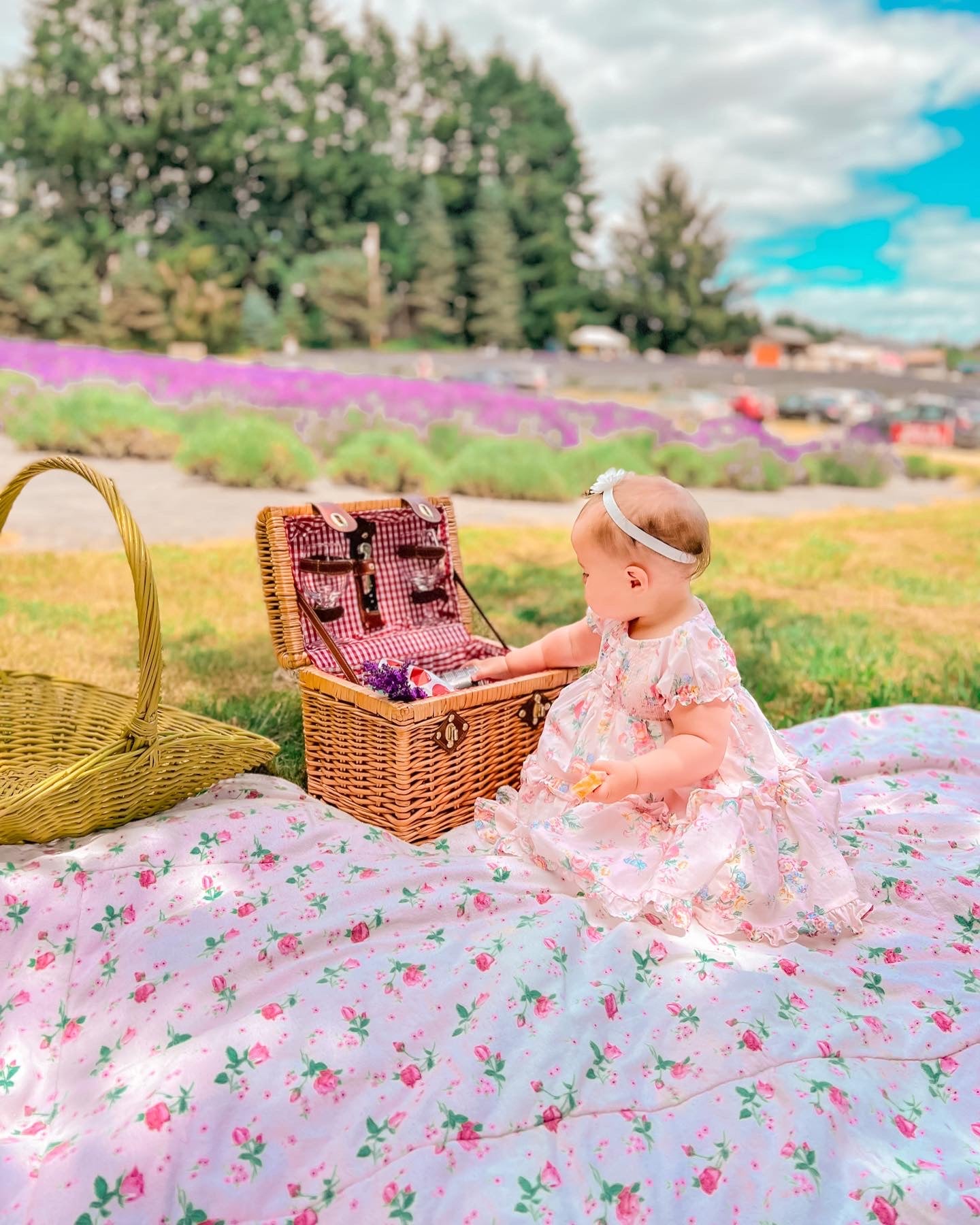 Lavender Field Photoshoot 