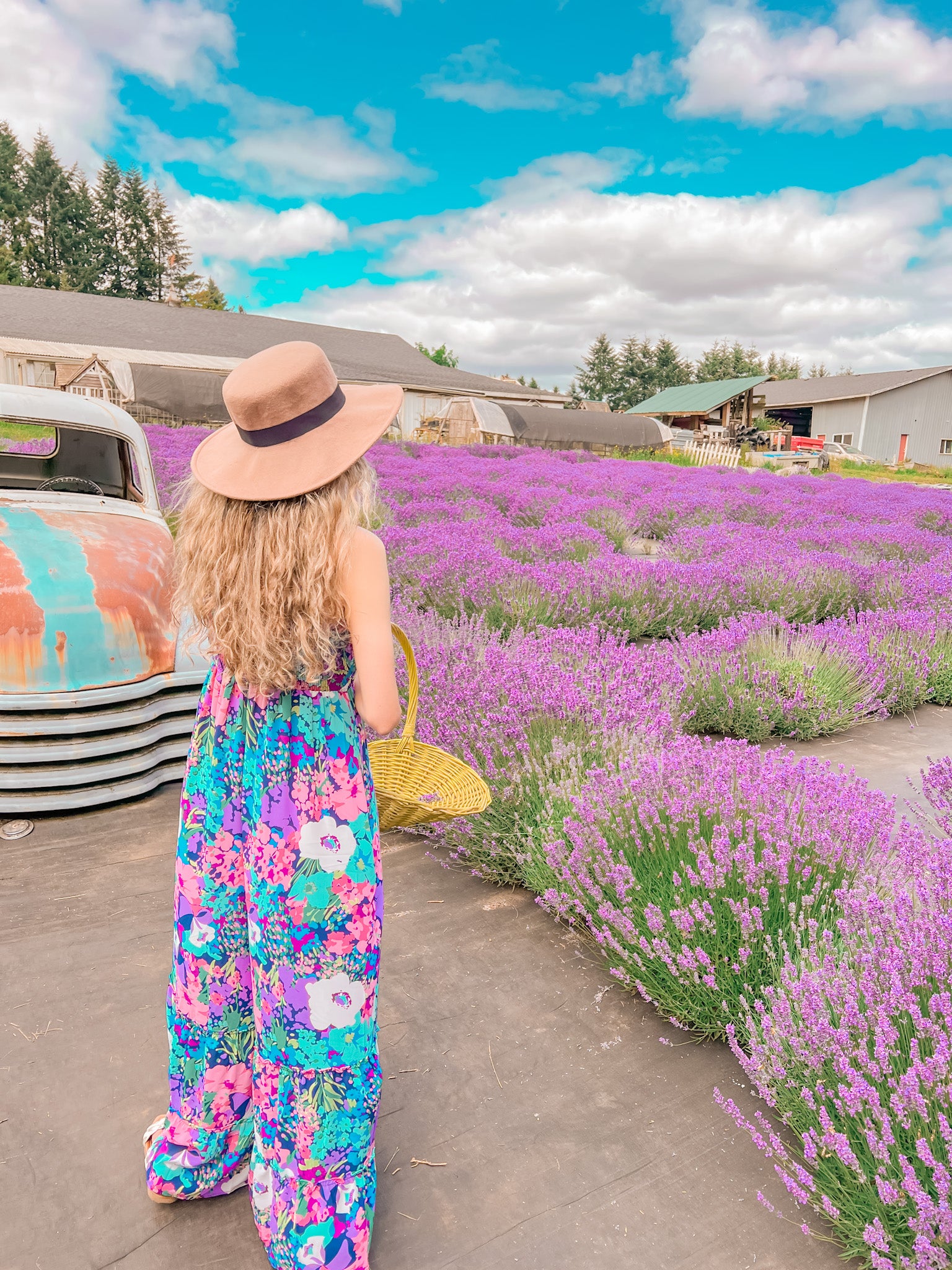 Lavender Field Photoshoot 