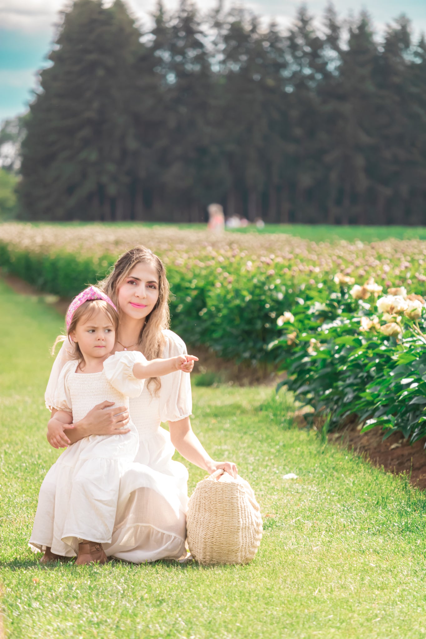 Peony Fields