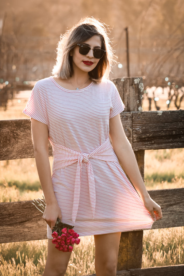 Nantucket Dress In Strawberry