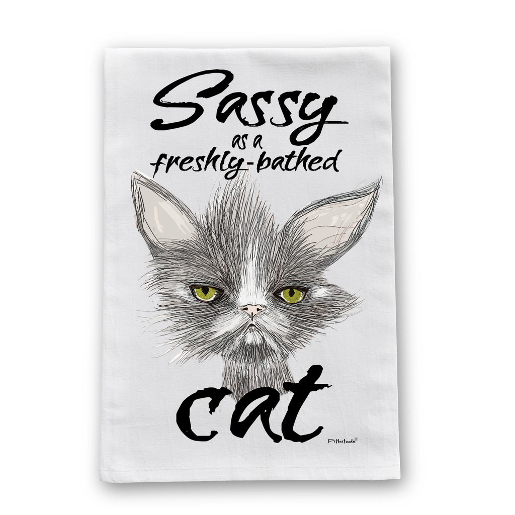 sassy cat