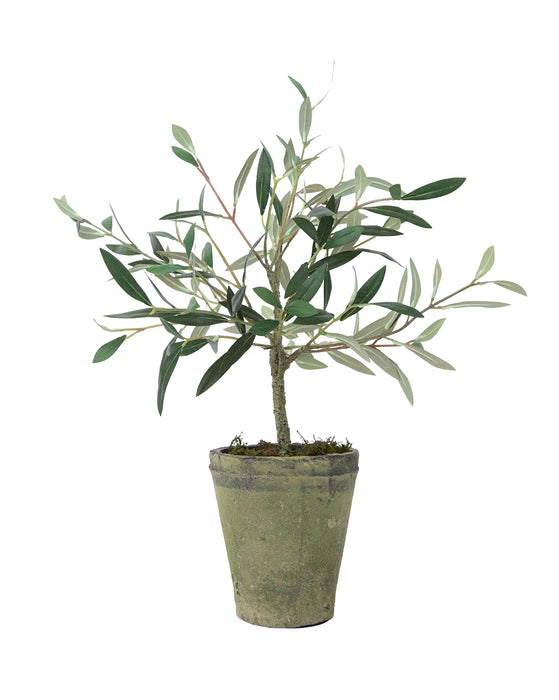 Faux Potted Charleston Olive Tree