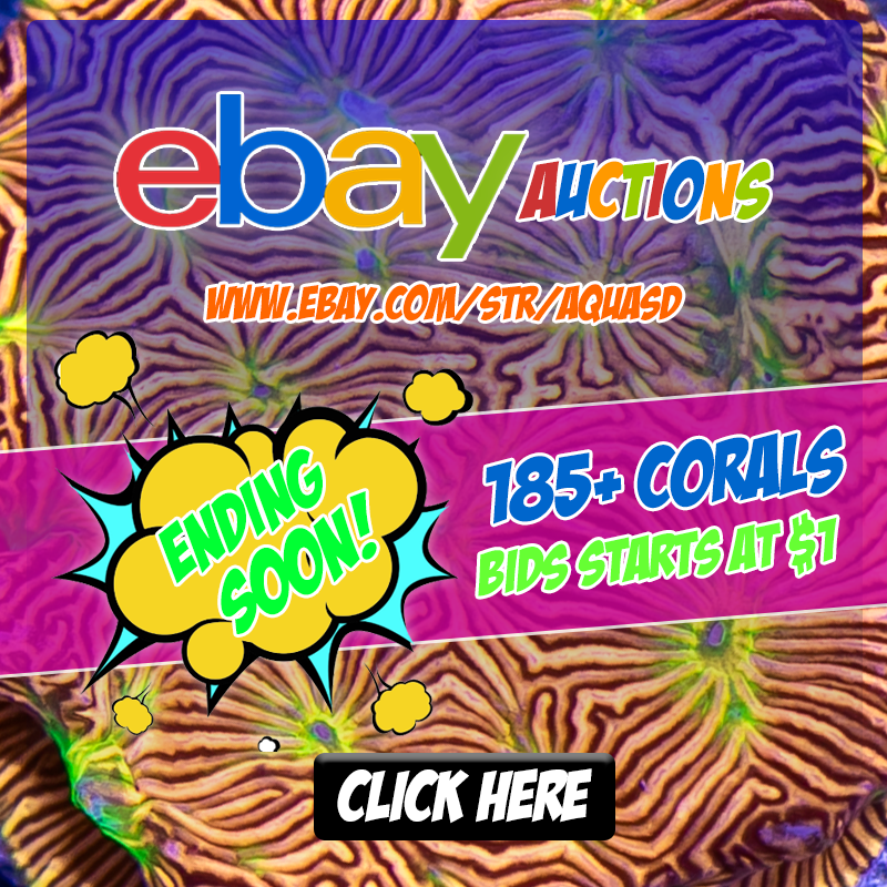 Ebay-Ending-Soon.png