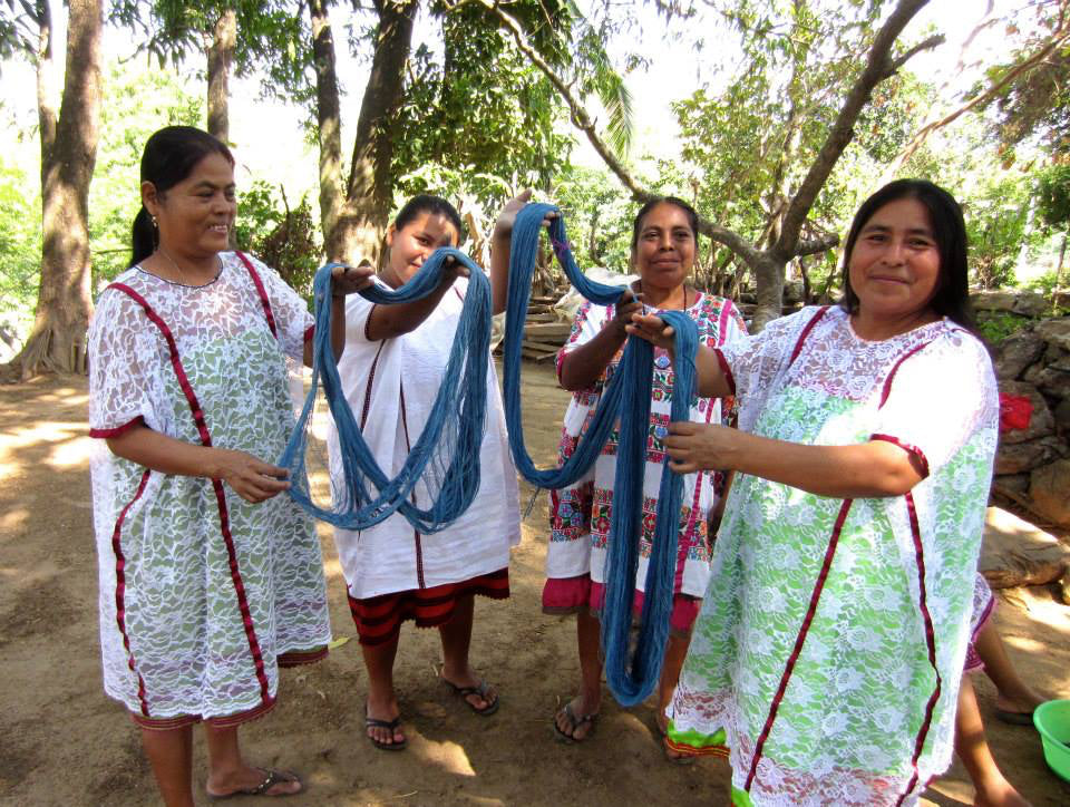 la flor de xochistlahuaca cielo collective