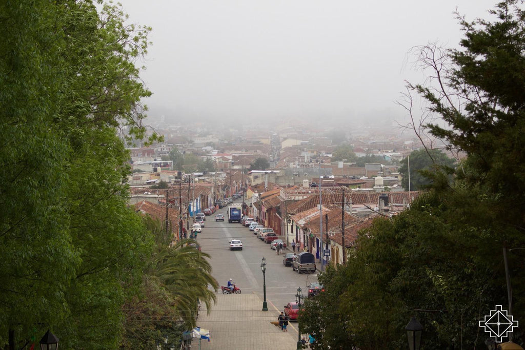 cielo collective san cristobal de las casas