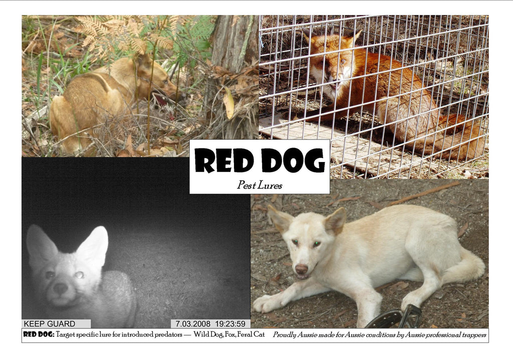 who made red dog