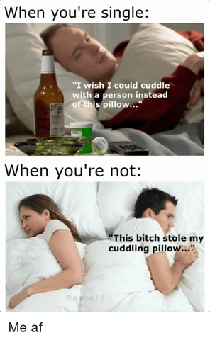 Top 5 Funniest Pillow Memes – Pillow Guy