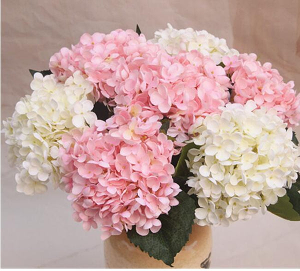 hydrangea homeopathic remedy        
        <figure class=