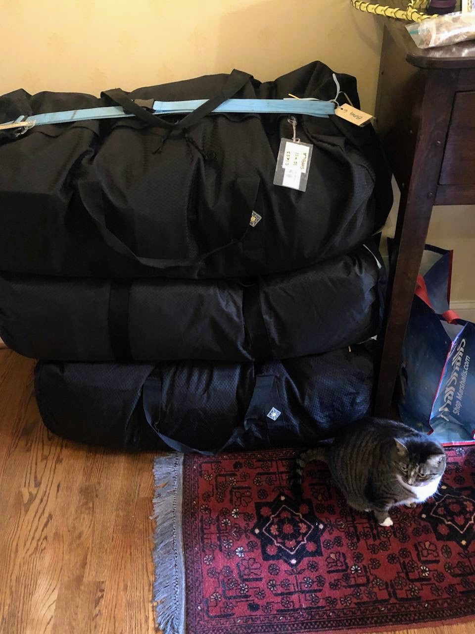 bags and cat