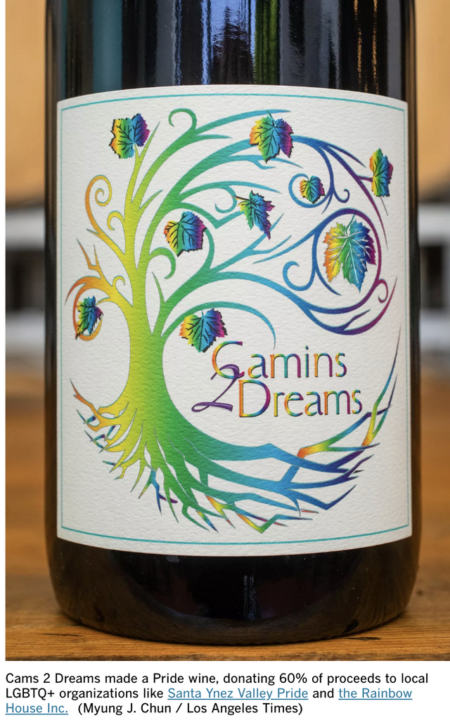 rainbow accented Camins 2 Dreams wine label