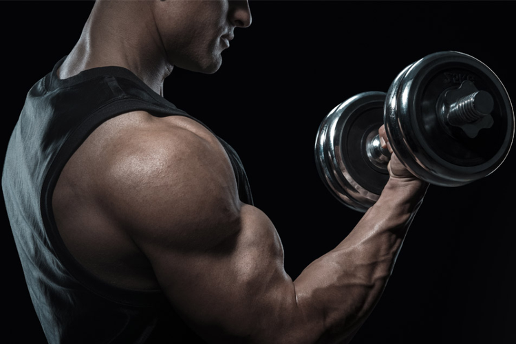 væg Ingen måde Converge Dumbbell Bicep Curls | A Secret Exercise Guide to Build Rock Solid Biceps |  DMoose