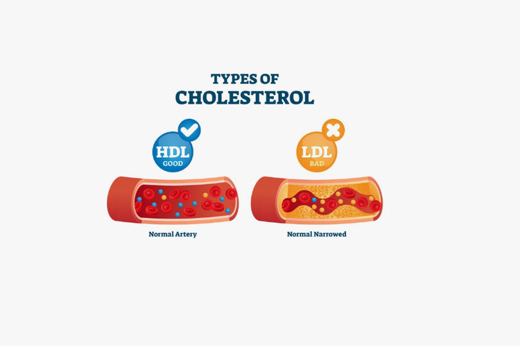 Types of Chlesterol