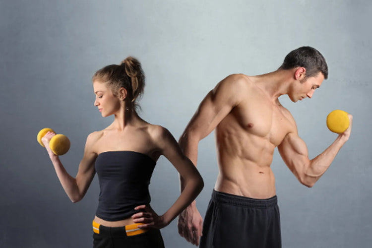 Muscle Building: Men Vs. Women
