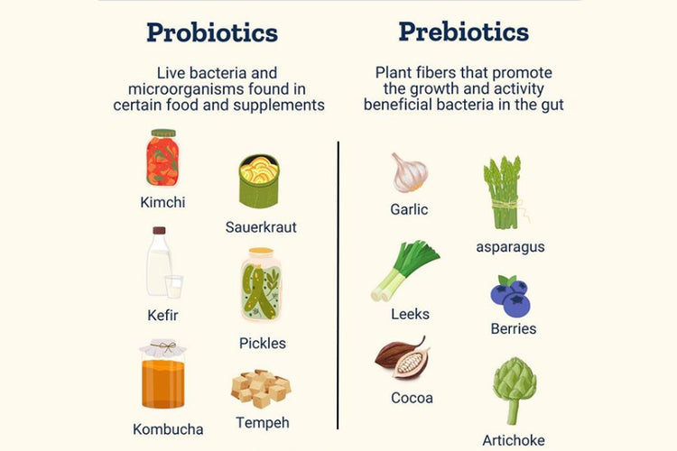 What is the difference between prebiotics and probiotics?