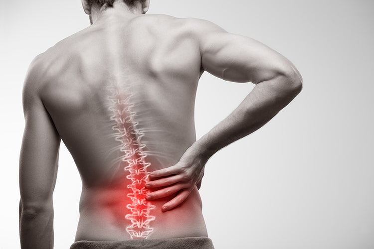 You Experience Pain in Your Lower Back
