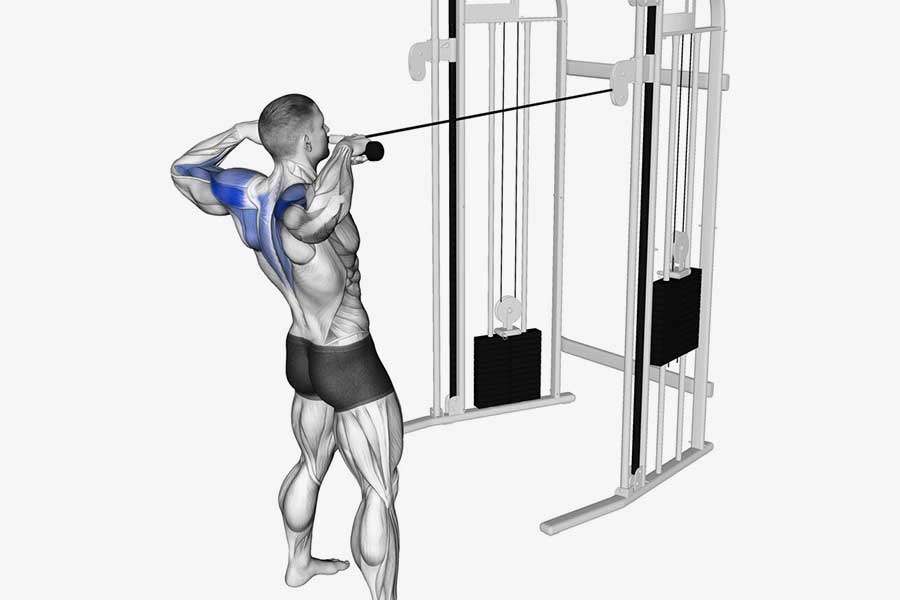 lat pulldown and its variations