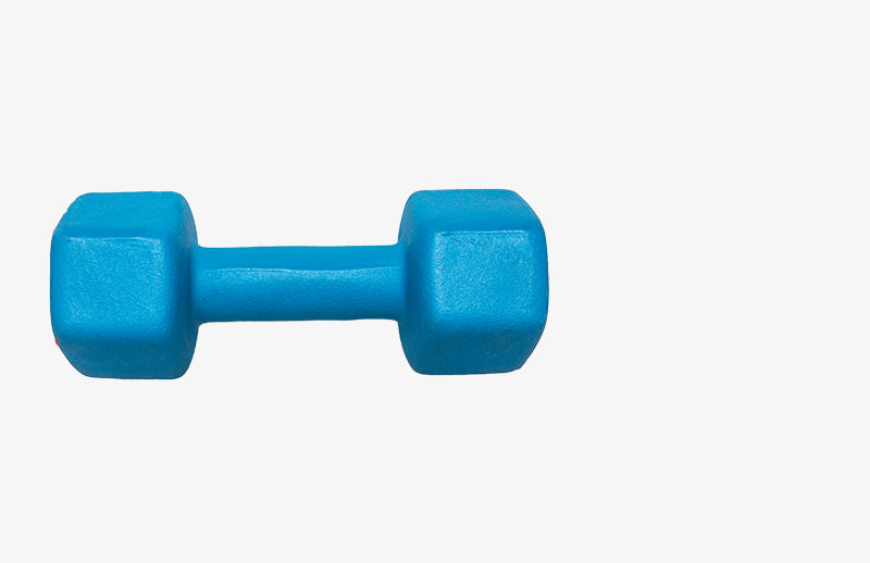 Blue color coated Neoprene Dumbbells for workout