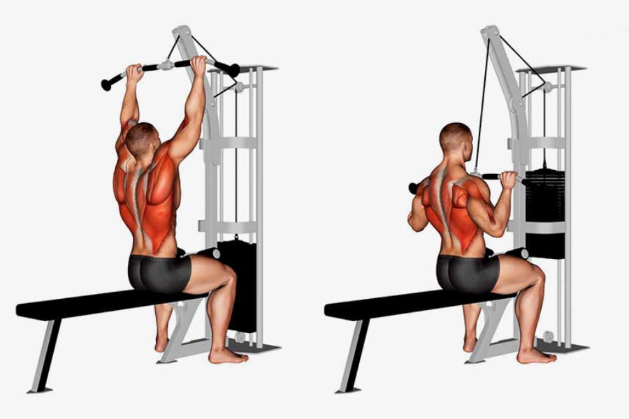 Top 10 Variations of Lat Pulldowns to Work Your Back Muscles – DMoose