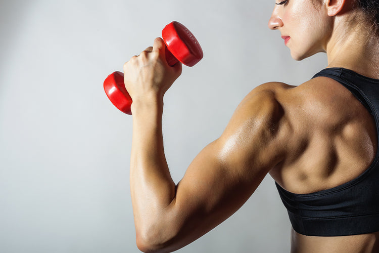 Back Exercises with Dumbbells for Women wanting a Toned Back