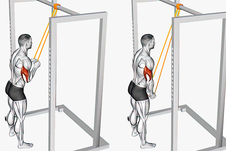 2. Banded Tricep Pushdown
