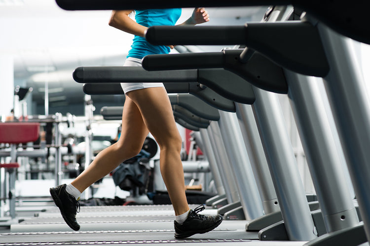 Cardio Machines at the Gym